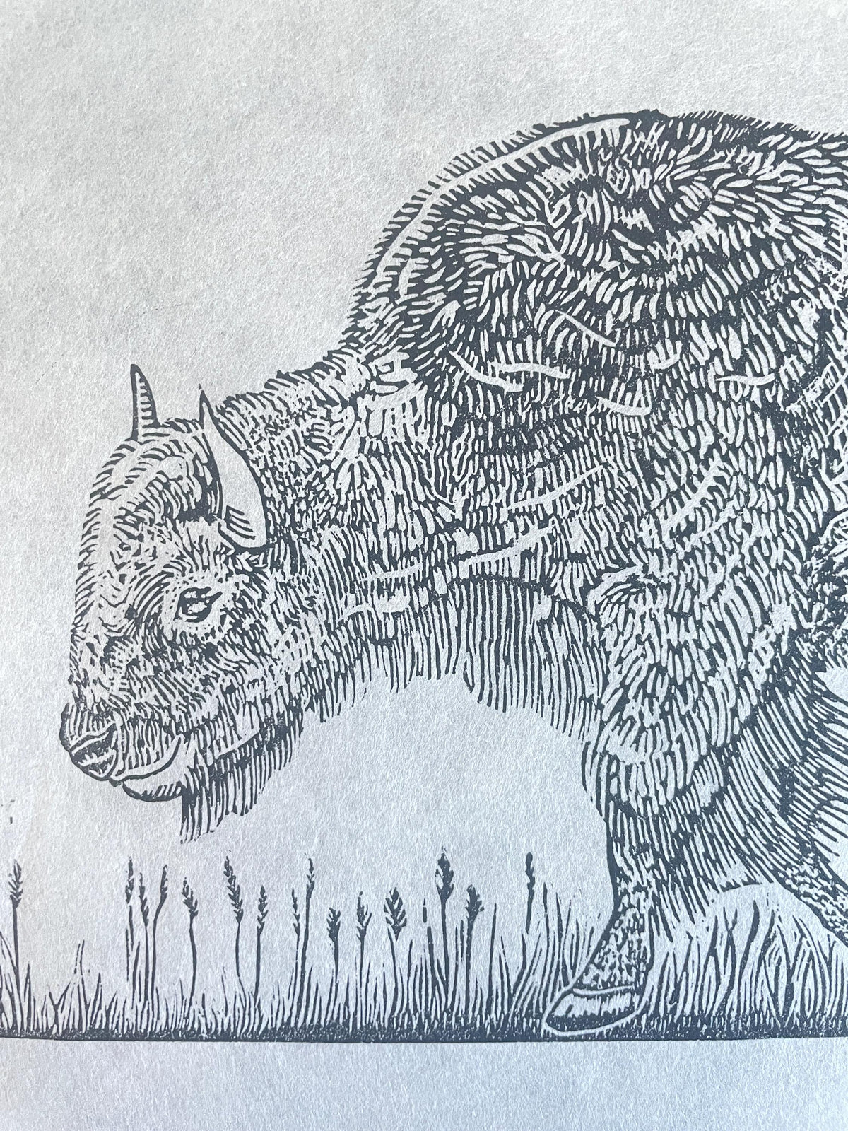 Bison Linocut Print 11x14in- “Born to Roam” original hand-carved, hand-printed linoleum relief print