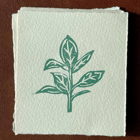 Ficus Plant mini linocut print 3x4"- Original Hand-Carved Linoprint