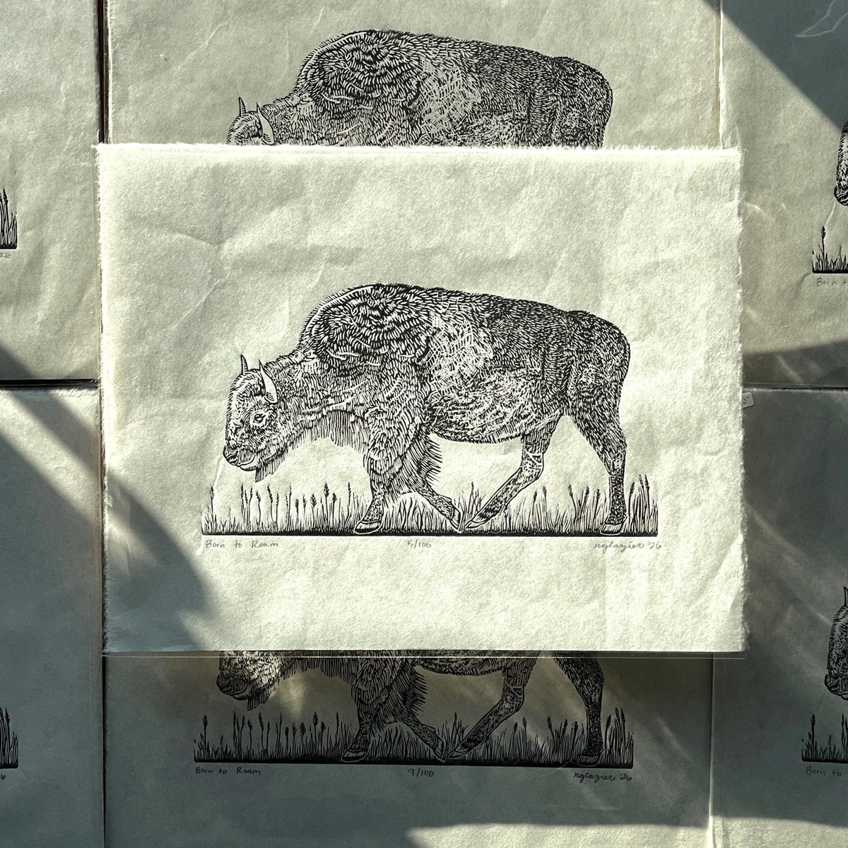 Bison Linocut Print 11x14in- “Born to Roam” original hand-carved, hand-printed linoleum relief print