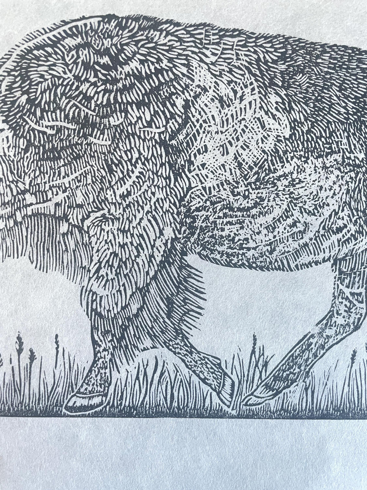 Bison Linocut Print 11x14in- “Born to Roam” original hand-carved, hand-printed linoleum relief print
