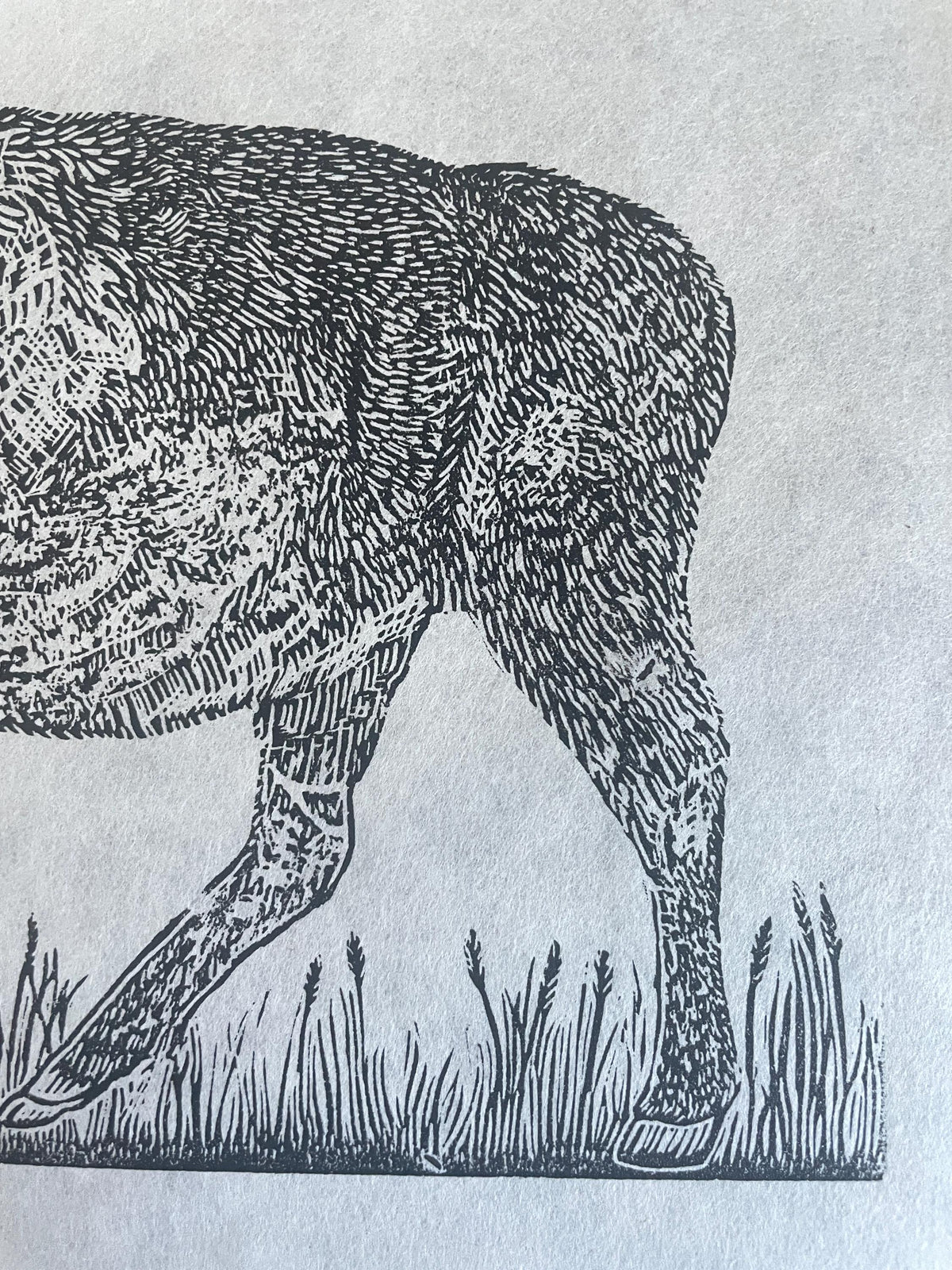 Bison Linocut Print 11x14in- “Born to Roam” original hand-carved, hand-printed linoleum relief print