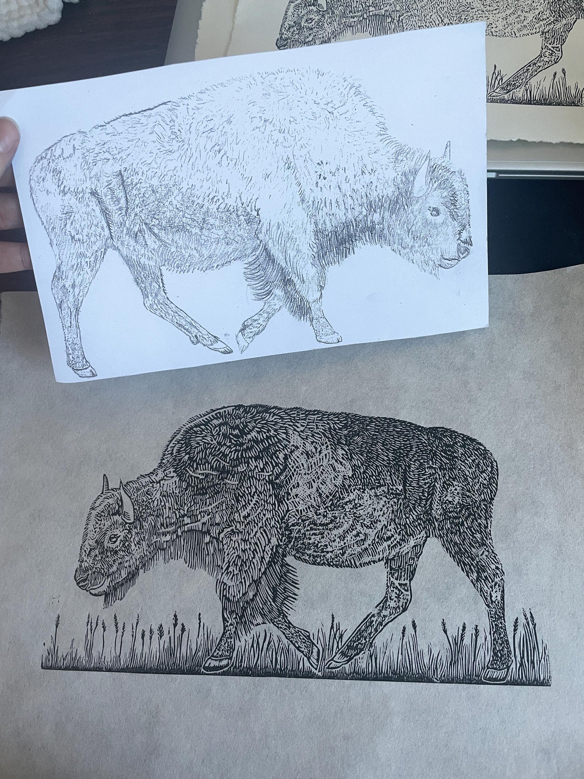 Bison Linocut Print 11x14in- “Born to Roam” original hand-carved, hand-printed linoleum relief print