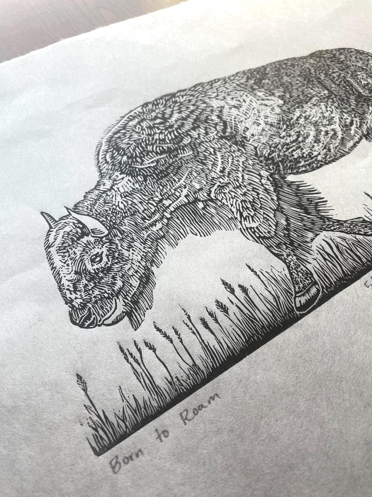 Bison Linocut Print 11x14in- “Born to Roam” original hand-carved, hand-printed linoleum relief print