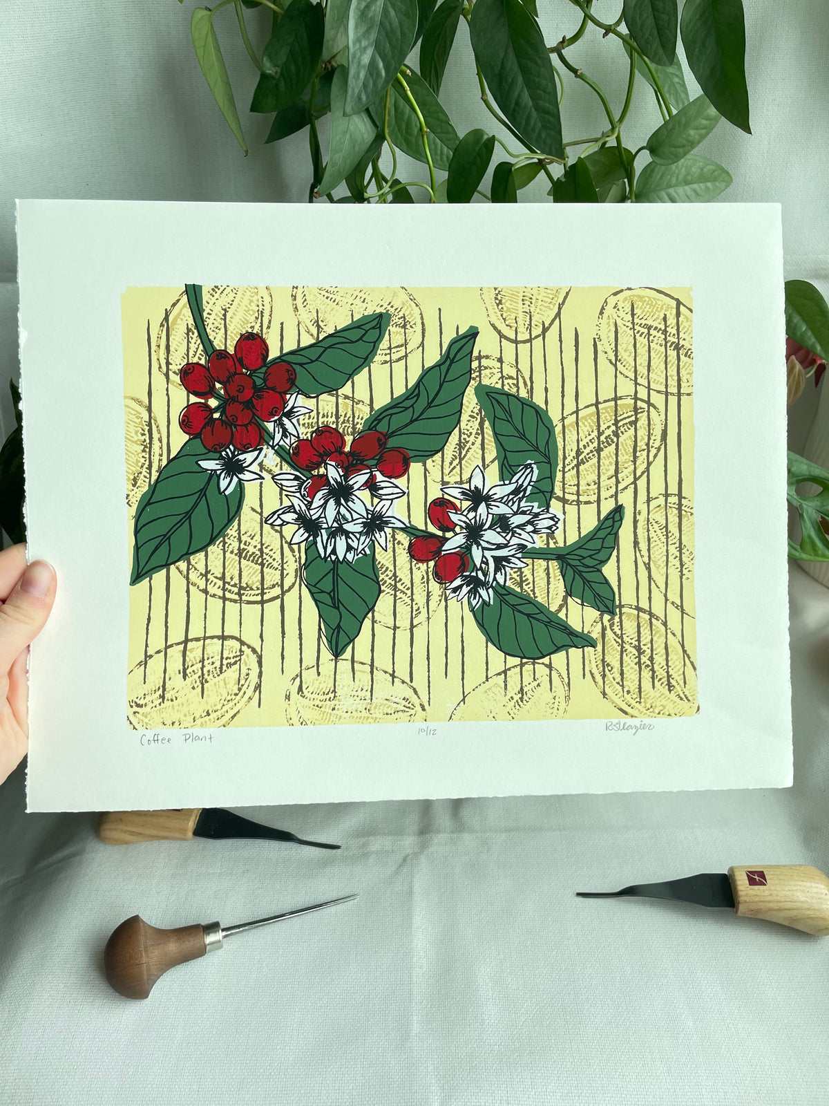 Coffee Plant 11x14” serigraph print, edition of 13, signed