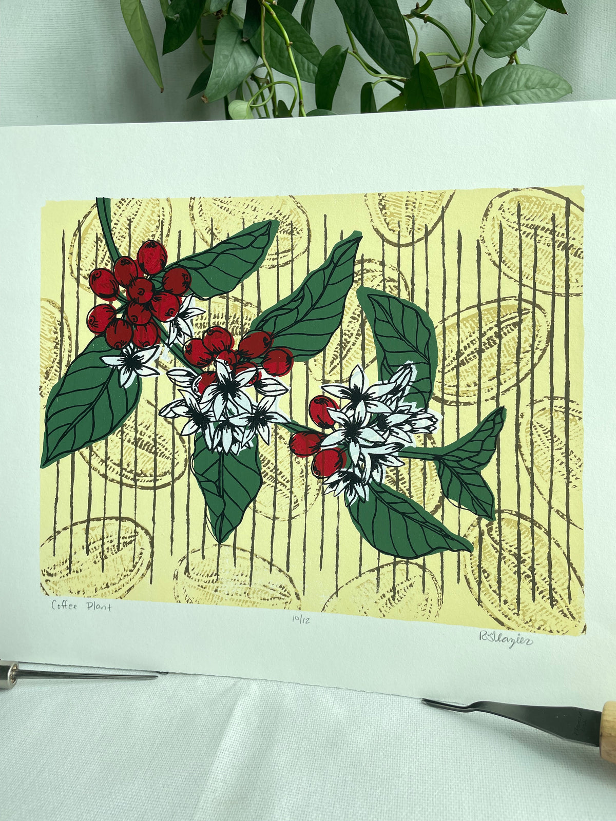Coffee Plant 11x14” serigraph print, edition of 13, signed