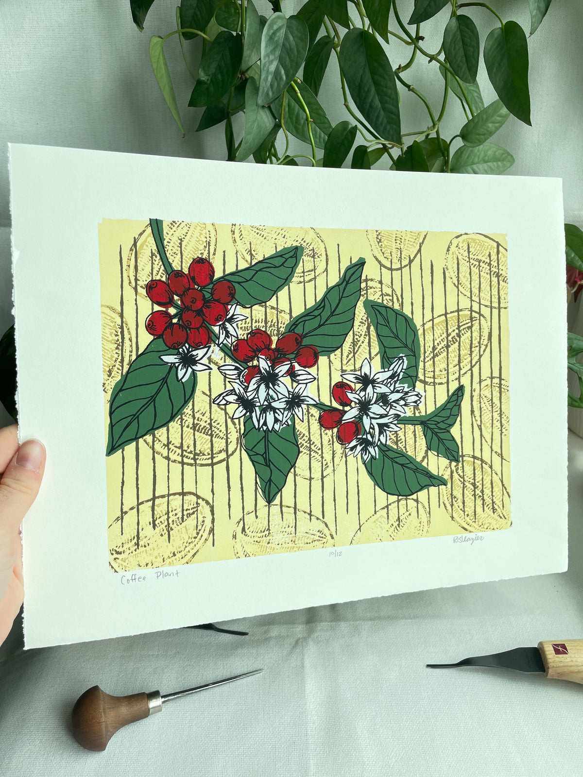Coffee Plant 11x14” serigraph print, edition of 13, signed