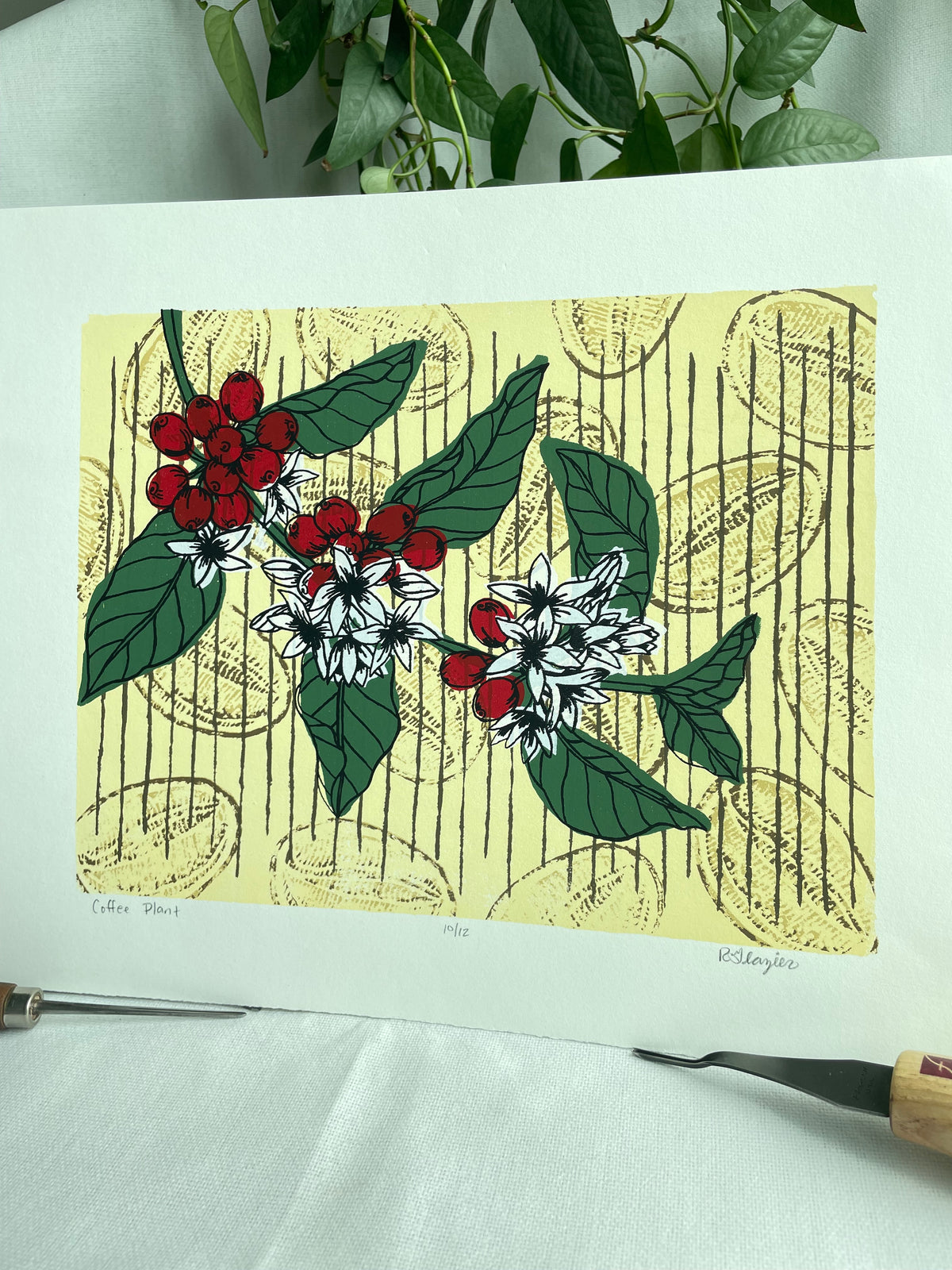 Coffee Plant 11x14” serigraph print, edition of 13, signed