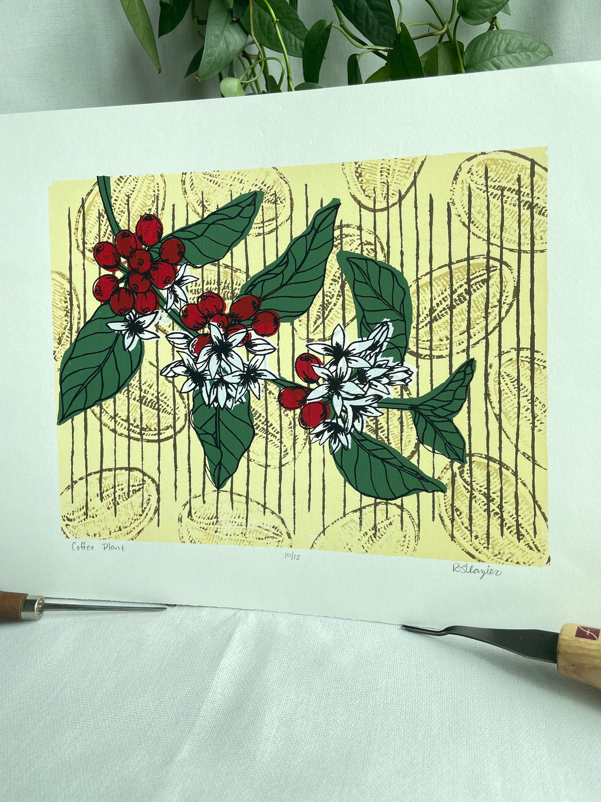 Coffee Plant 11x14” serigraph print, edition of 13, signed