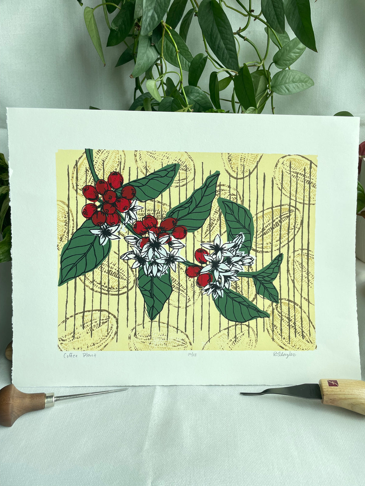Coffee Plant 11x14” serigraph print, edition of 13, signed